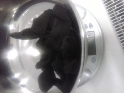 20170213_005656.jpg