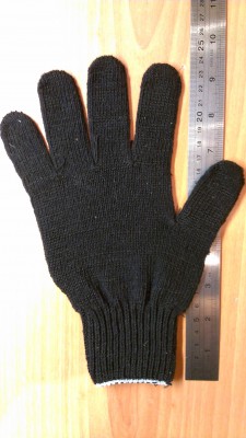 IMAG0181.jpg